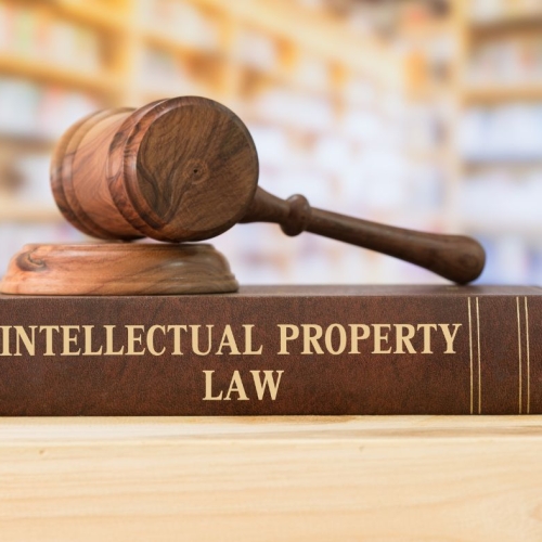 ENFORCEMENT OF INDUSTRIAL PROPERTY  BY ADMINISTRATIVE MEASURE