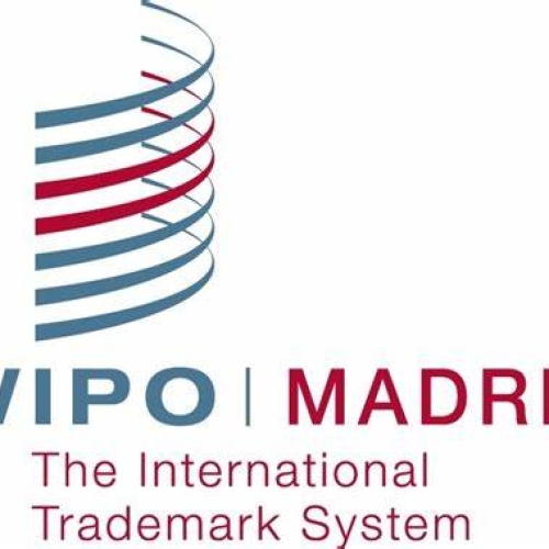 INTERNATIONAL REGISTRATION OF MARKS THROUGH MADRID SYSTEM